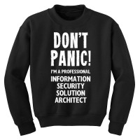 Information Security Solution Architect T Shirt Youth Sweatshirt | Artistshot