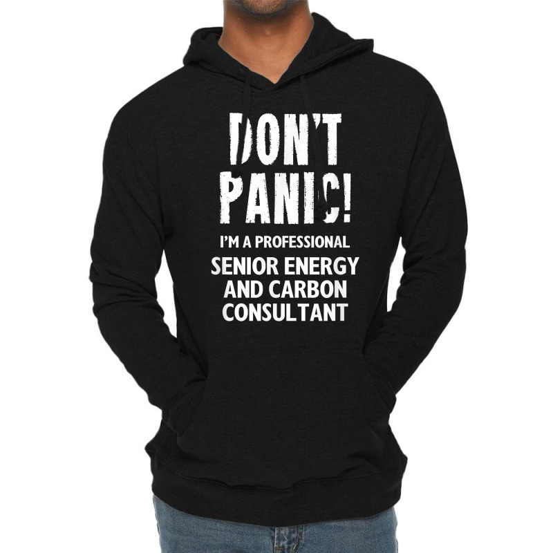 Senior Energy And Carbon Consultant T Shirt Lightweight Hoodie | Artistshot