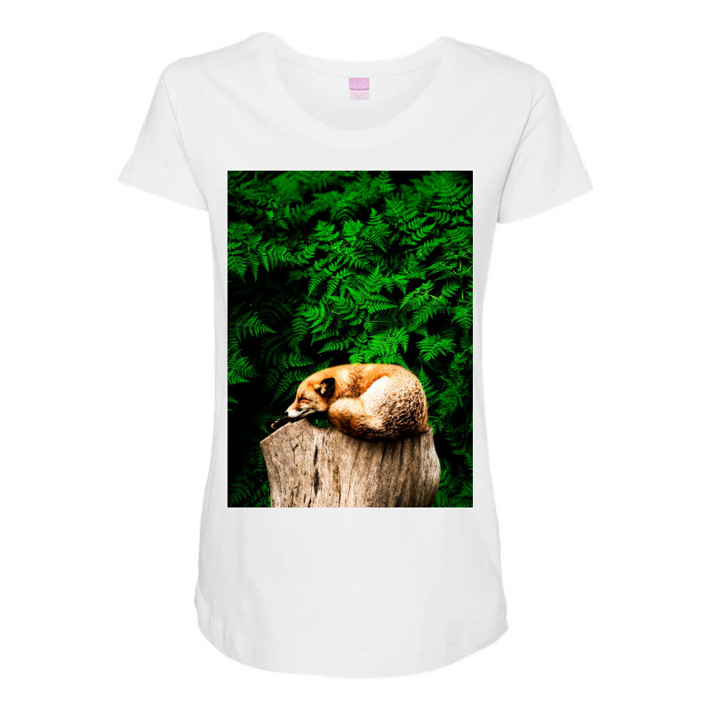 Fox Maternity Scoop Neck T-shirt | Artistshot