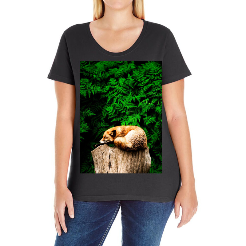 Fox Ladies Curvy T-shirt | Artistshot