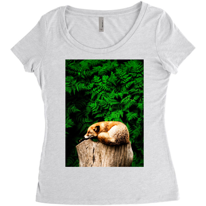 Fox Women's Triblend Scoop T-shirt | Artistshot
