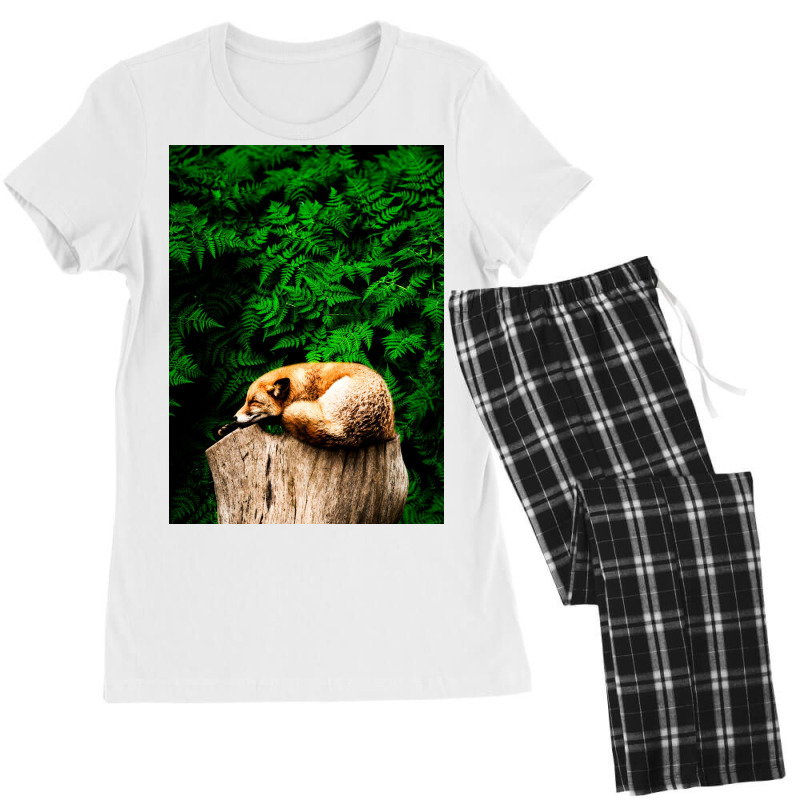 Fox Women's Pajamas Set | Artistshot