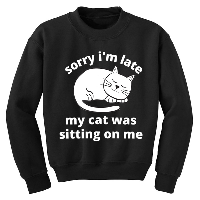 Sorry I'm Late My Cat Was Sitting On Me Cat Sleeping On Me Youth Sweatshirt | Artistshot