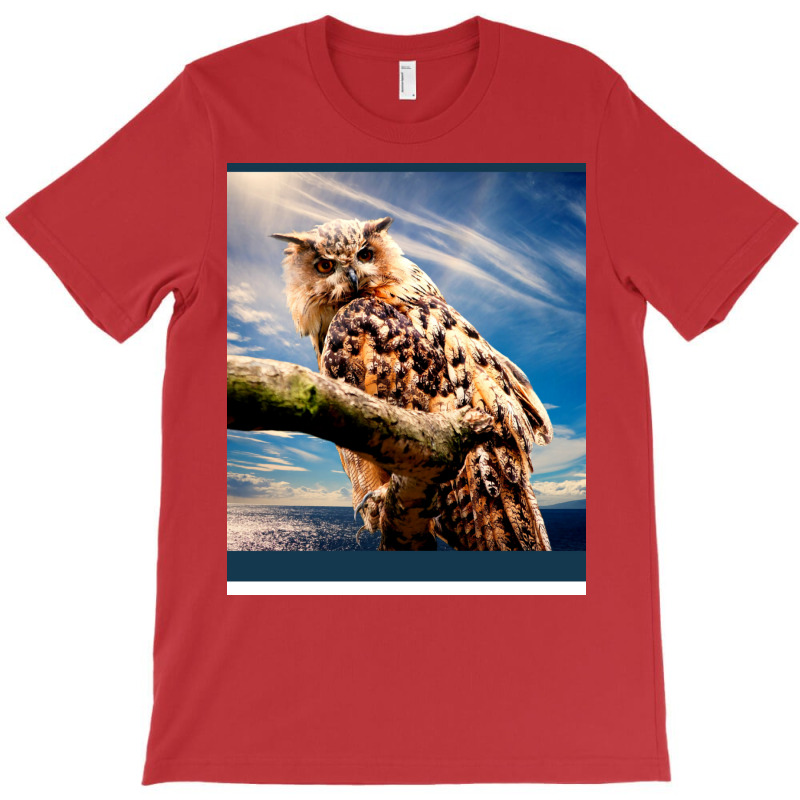 Enigmatic Owl. Birds. T-Shirt by sounyariniow | Artistshot