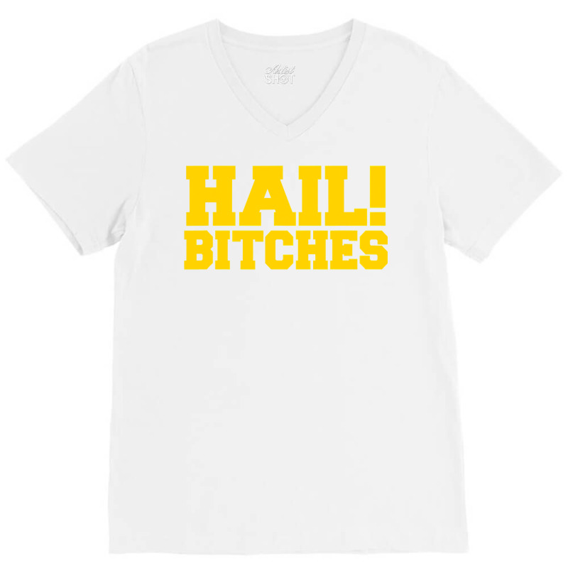 State Of Michigan Hail Bitches  Ann Arbor Mi Fun Adult V-neck Tee | Artistshot