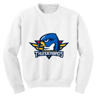 Springfield Thunderbirds Youth Sweatshirt | Artistshot