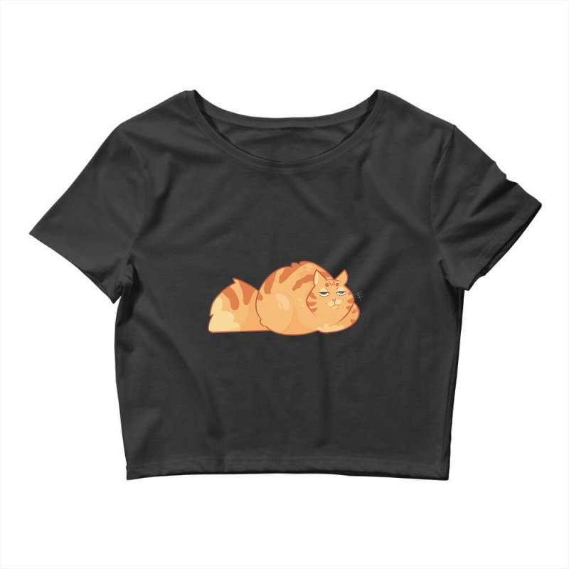 Chonky Boy Crop Top by Timothy90 | Artistshot