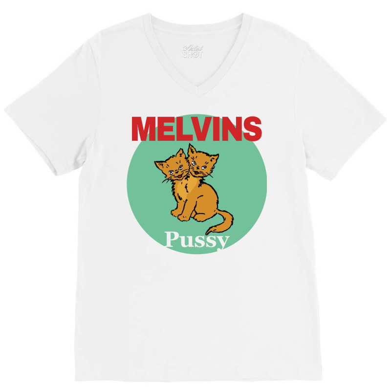 Melvins Houdini Cat Colour V-neck Tee | Artistshot