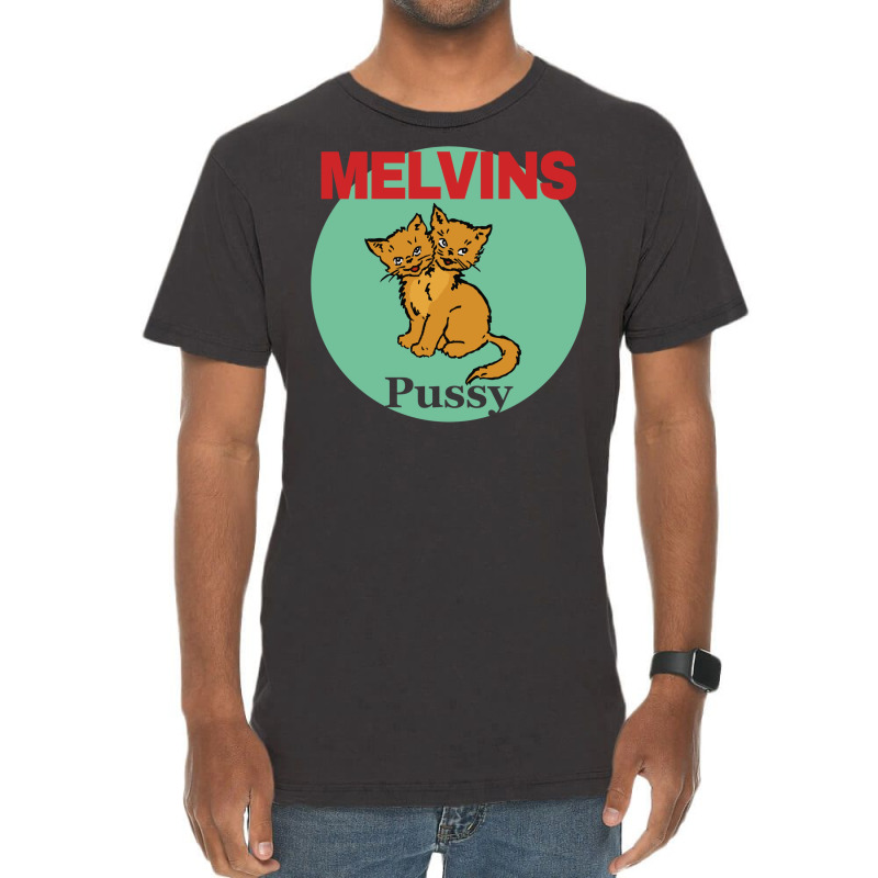 Melvins Houdini Cat Colour Vintage T-shirt | Artistshot