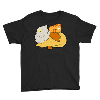 Griffin And Orange Tabby Cat Youth Tee Designed By Ilham12