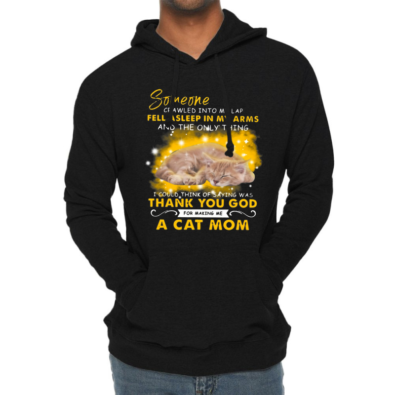 Someone Crawled Into My Lap Fell Asleep In My Arms Lightweight Hoodie | Artistshot