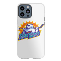 The Orlando, Solar, Bears Iphone 13 Pro Max Case | Artistshot