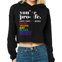 Funny Lgbt Pride Gay Pride Lgbtq T Shirt Cropped Hoodie | Artistshot