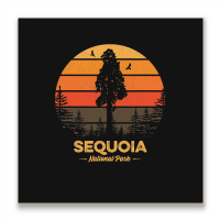 Sequoia National Park Retro Vintage Souvenir Gift Metal Print Square | Artistshot