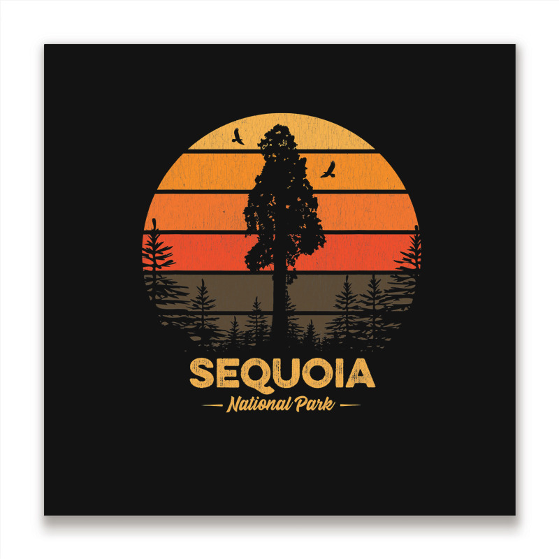 Sequoia National Park Retro Vintage Souvenir Gift Metal Print Square | Artistshot