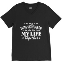 Exotic Shorthair Cat Keeps My Life Together Cat Mo V-neck Tee | Artistshot