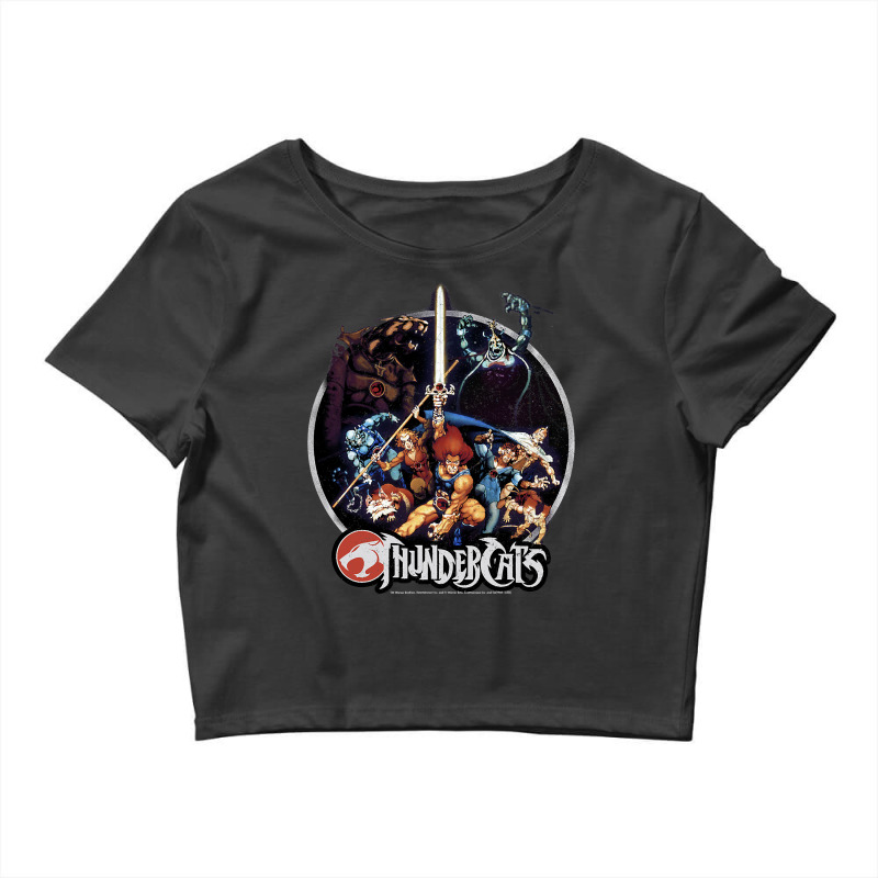 Thundercats Group Shot Vintage Circle Crop Top by home12 | Artistshot