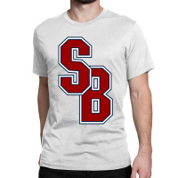 Stony. Brook. Seawolves. Wordmark. Classic T-shirt | Artistshot