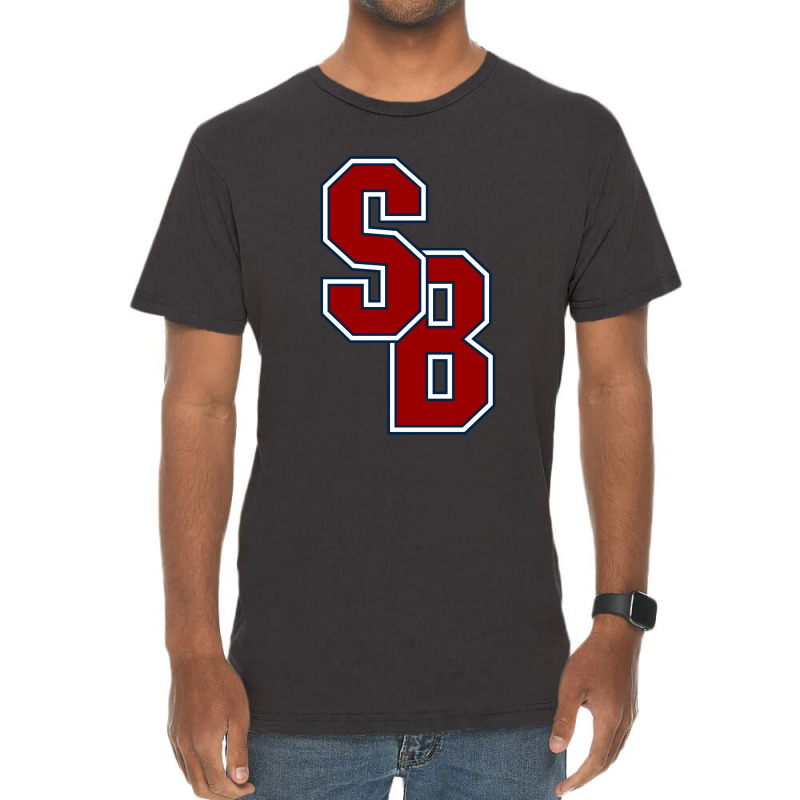 Stony. Brook. Seawolves. Wordmark. Vintage T-Shirt by viscaro | Artistshot