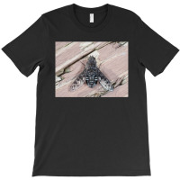 Anthrax Sp. Fly Close Up T-shirt | Artistshot