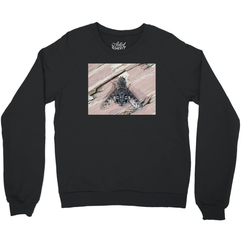 Anthrax Sp. Fly Close Up Crewneck Sweatshirt | Artistshot