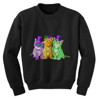 Kitten Cat Mask Beads Mardi Gras New Orleans Cat L Youth Sweatshirt | Artistshot