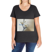 Img 2902-magnolia Oil Pastel Art Work Ladies Curvy T-shirt | Artistshot