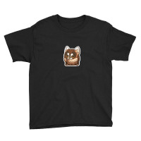 Owl Painting Art Youth Tee | Artistshot