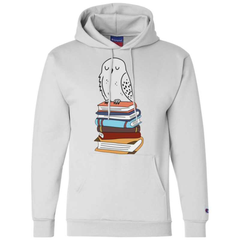 Magic Owl On Books 3 Champion Hoodie by didwaycarw | Artistshot