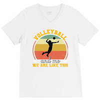 Volleyball And Me We Are Like This Aesthetic V-neck Tee | Artistshot