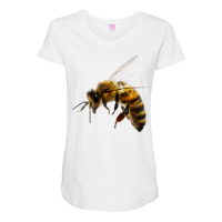 Bees Maternity Scoop Neck T-shirt | Artistshot