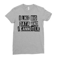 Data Analyst I Like Big Data And Cannot Lie Ladies Fitted T-shirt | Artistshot