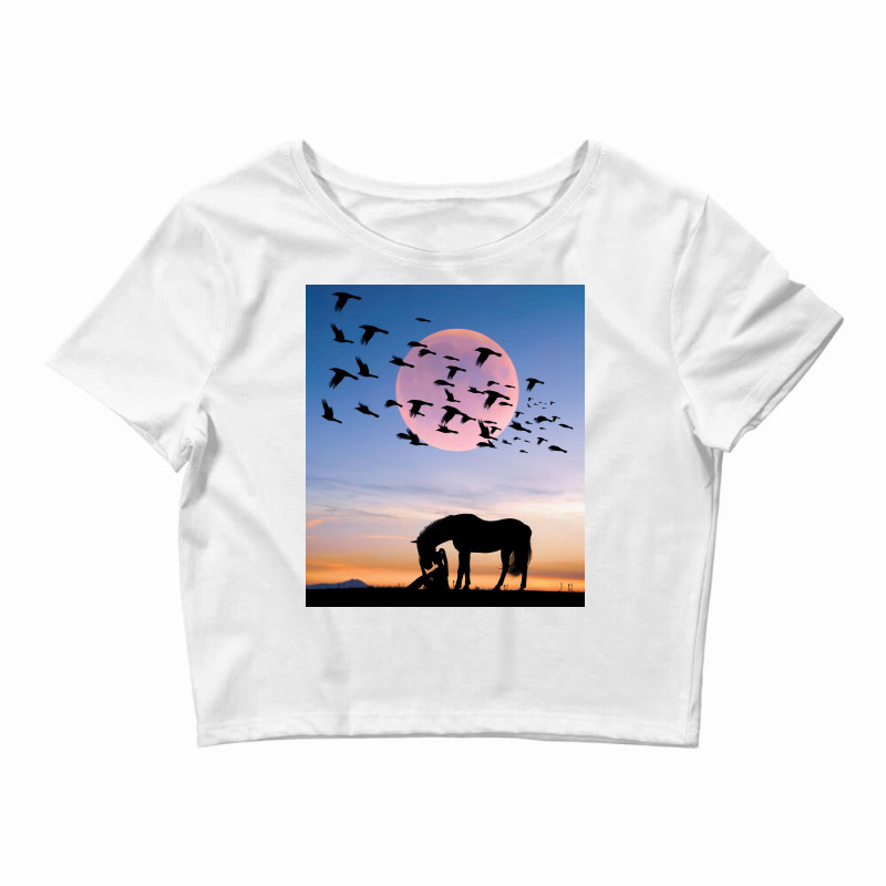 Horse And Woman Crop Top | Artistshot