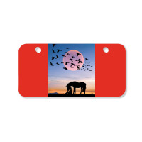 Horse And Woman Bicycle License Plate | Artistshot