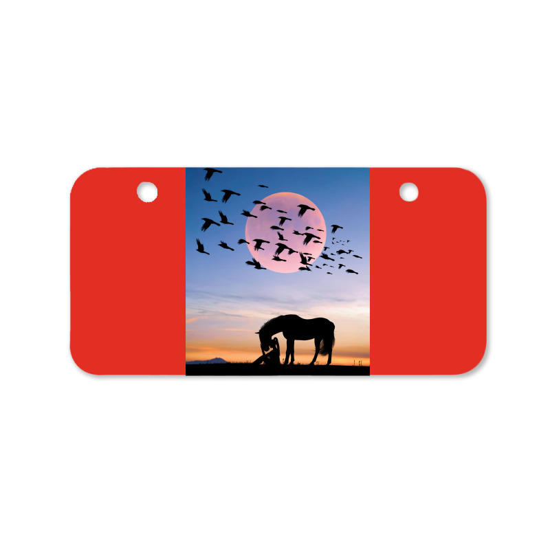 Horse And Woman Bicycle License Plate | Artistshot