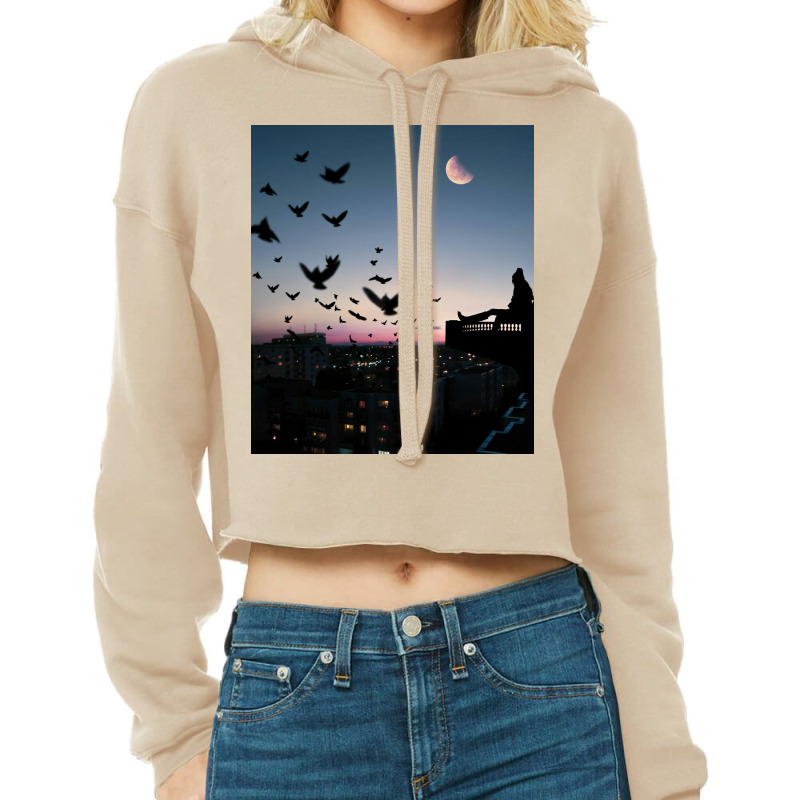 Balcony View Cropped Hoodie | Artistshot