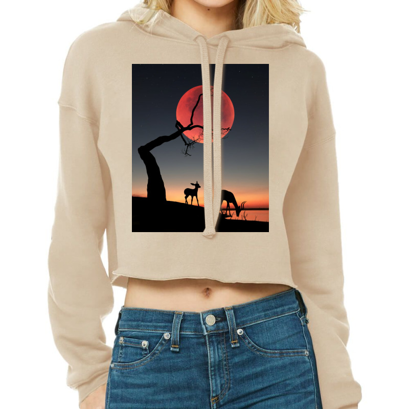 Fullmoon Cropped Hoodie | Artistshot