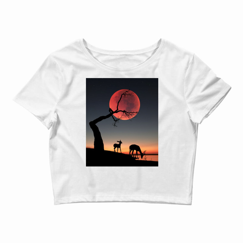 Fullmoon Crop Top | Artistshot