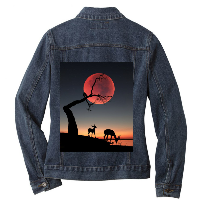 Fullmoon Ladies Denim Jacket | Artistshot