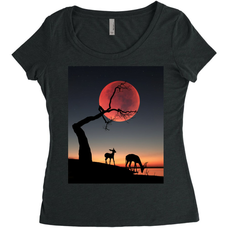 Fullmoon Women's Triblend Scoop T-shirt | Artistshot