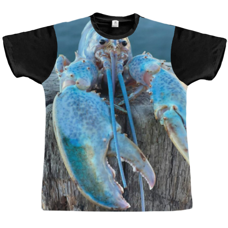 Funny Jumpscare Lobster Meme Blue Crustacean T Shi Graphic T-shirt | Artistshot