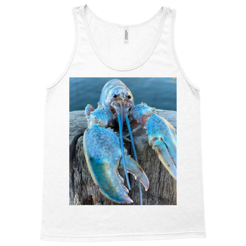 Funny Jumpscare Lobster Meme Blue Crustacean T Shi Tank Top | Artistshot