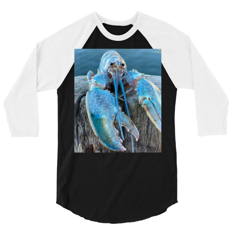 Funny Jumpscare Lobster Meme Blue Crustacean T Shi 3/4 Sleeve Shirt | Artistshot