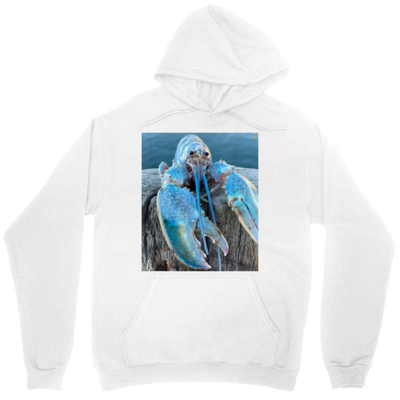 Funny Jumpscare Lobster Meme Blue Crustacean T Shi Unisex Hoodie | Artistshot