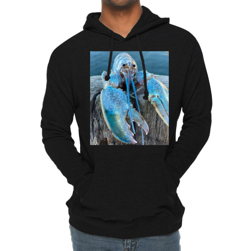 Funny Jumpscare Lobster Meme Blue Crustacean T Shi Lightweight Hoodie | Artistshot