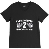 Chinchilla Pet Owner I Was Normal 2 Chinchillas Ag V-neck Tee | Artistshot