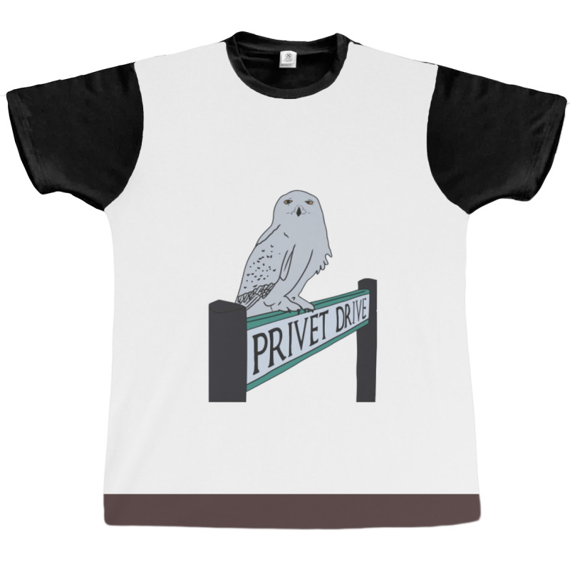 Owl For Wizards Drive Graphic T-shirt by heathybatevam | Artistshot