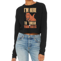 Im Here To Break Your Balls Funny Billiards Gift Cropped Sweater | Artistshot