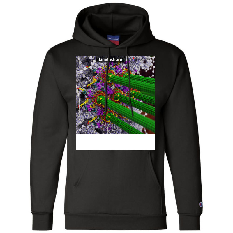 Kinetochore Music Champion Hoodie by limverjobetg | Artistshot