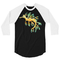 Leafy Seadragon Tumblr 3/4 Sleeve Shirt | Artistshot